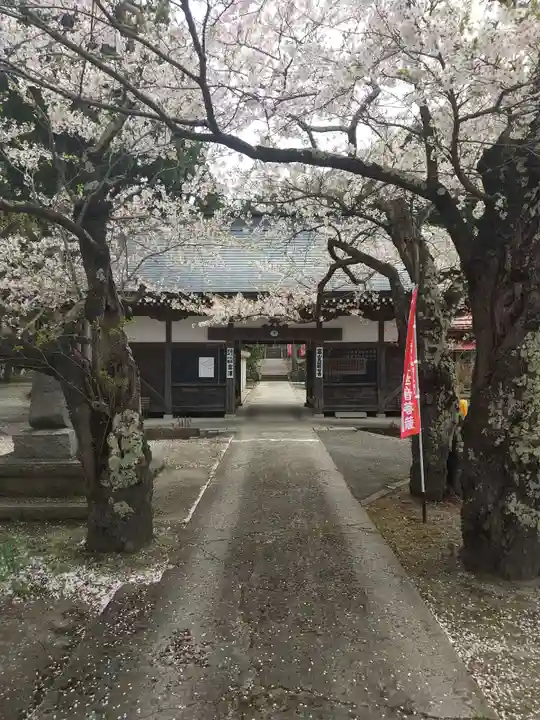 光清寺の山門・神門