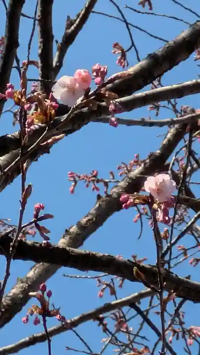 清浄華院(京都府)