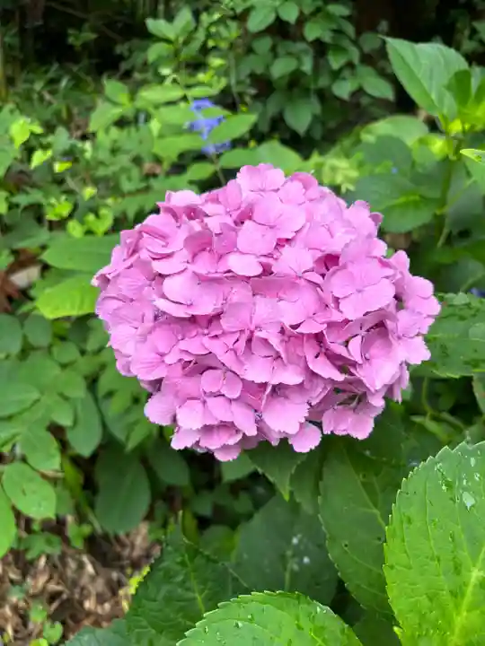 愛宕神社(福島県)