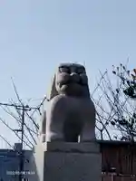 赤城神社の狛犬