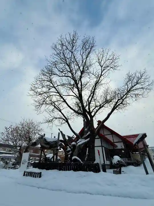 一本栗地主神社の{uncategorized: "未分類", other: "その他", undefined: "問題あり", building: "その他建物", grave: "お墓", sacred_gate: "鳥居", guardian: "狛犬", statue: "像", buddha: "仏像", history: "歴史", nature: "自然", garden: "庭園", animal: "動物", pagoda: "塔", temizu: "手水舎", mountain_gate: "山門・神門", sanctuary: "本殿・本堂", subordinate: "末社・摂社", art: "芸術", scenery: "景色", jizo: "地蔵", ema: "絵馬", goshuin: "御朱印", omikuji: "おみくじ", items: "授与品その他", amulet: "お守り", goshuincho: "御朱印帳", eats: "食事", festival: "お祭り", votive_dance: "神楽", shichigosan: "七五三参", wedding: "結婚式", experience: "体験その他", initially: "初詣", around: "周辺", anti_infection: "感染症対策"}
