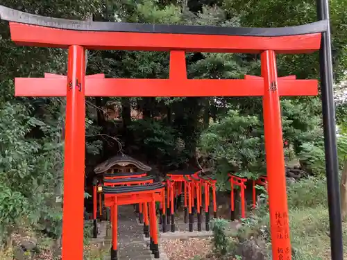 澤蔵司稲荷（慈眼院）(東京都)