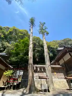須佐神社(和歌山県)