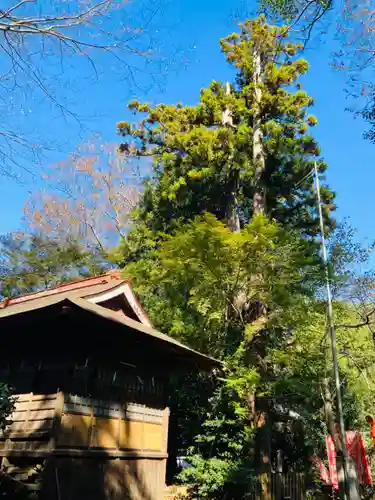 鹿嶋神社(茨城県)