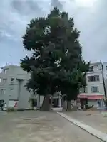 天祖神社(東京都)