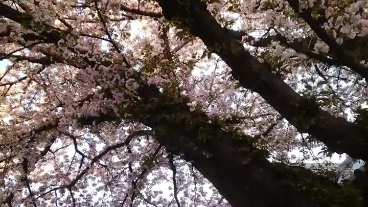 感通寺(東京都)