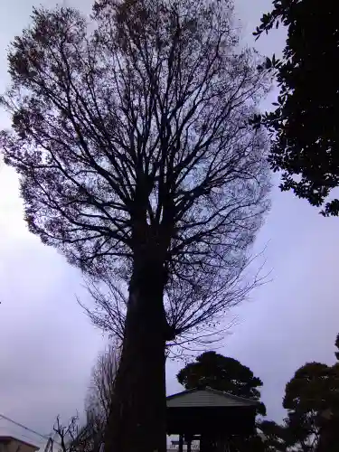 光明院(東京都)