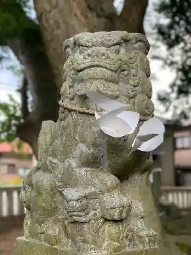 冨士淺間神社（富士吉田市向原）の狛犬