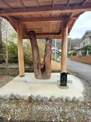 長林寺（山川長林寺）(栃木県)