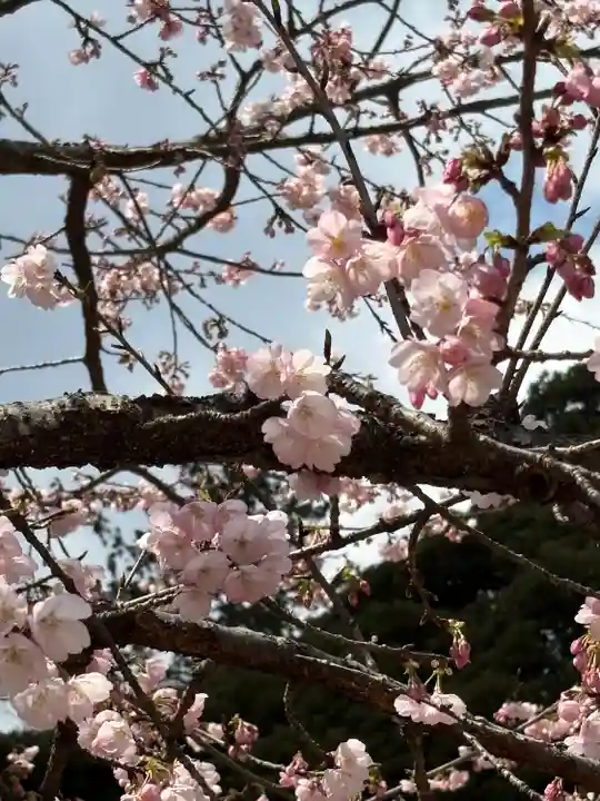 宇都宮二荒山神社(栃木県)