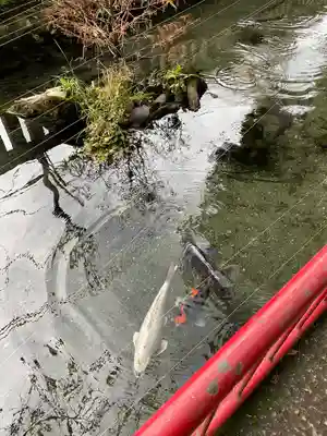 谷保天満宮(東京都)