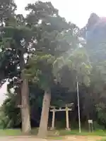 坂本神社(千葉県)