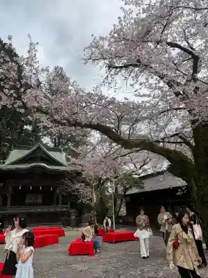宇都宮二荒山神社の{uncategorized: "未分類", other: "その他", undefined: "問題あり", building: "その他建物", grave: "お墓", sacred_gate: "鳥居", guardian: "狛犬", statue: "像", buddha: "仏像", history: "歴史", nature: "自然", garden: "庭園", animal: "動物", pagoda: "塔", temizu: "手水舎", mountain_gate: "山門・神門", sanctuary: "本殿・本堂", subordinate: "末社・摂社", art: "芸術", scenery: "景色", jizo: "地蔵", ema: "絵馬", goshuin: "御朱印", omikuji: "おみくじ", items: "授与品その他", amulet: "お守り", goshuincho: "御朱印帳", eats: "食事", festival: "お祭り", votive_dance: "神楽", shichigosan: "七五三参", wedding: "結婚式", experience: "体験その他", initially: "初詣", around: "周辺", anti_infection: "感染症対策"}