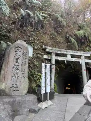 銭洗弁財天宇賀福神社(神奈川県)