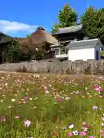 善光寺(愛媛県)