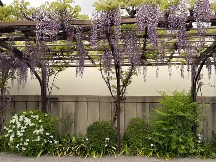 西方山極楽寺(岐阜県)