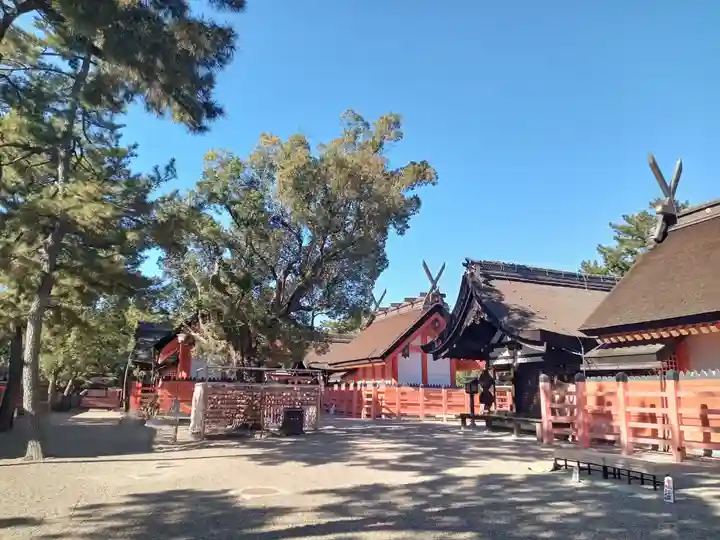 住吉大社(大阪府)