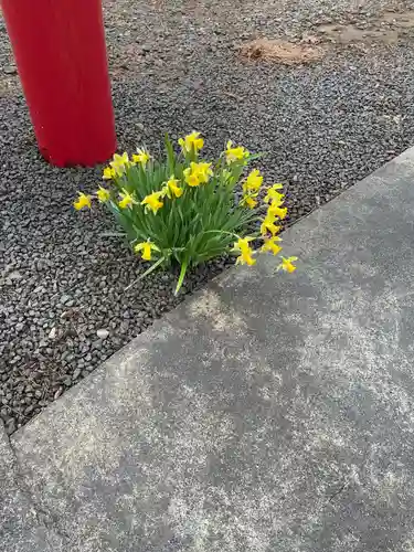 水無山神神社の自然