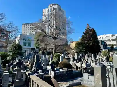 東北寺の{uncategorized: "未分類", other: "その他", undefined: "問題あり", building: "その他建物", grave: "お墓", sacred_gate: "鳥居", guardian: "狛犬", statue: "像", buddha: "仏像", history: "歴史", nature: "自然", garden: "庭園", animal: "動物", pagoda: "塔", temizu: "手水舎", mountain_gate: "山門・神門", sanctuary: "本殿・本堂", subordinate: "末社・摂社", art: "芸術", scenery: "景色", jizo: "地蔵", ema: "絵馬", goshuin: "御朱印", omikuji: "おみくじ", items: "授与品その他", amulet: "お守り", goshuincho: "御朱印帳", eats: "食事", festival: "お祭り", votive_dance: "神楽", shichigosan: "七五三参", wedding: "結婚式", experience: "体験その他", initially: "初詣", around: "周辺", anti_infection: "感染症対策"}