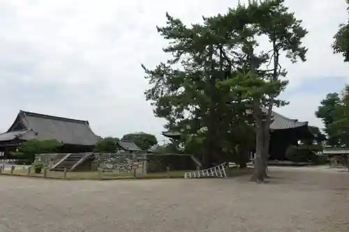 西大寺のその他建物