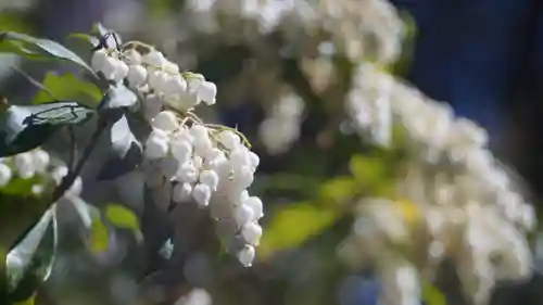 新長谷寺(京都府)