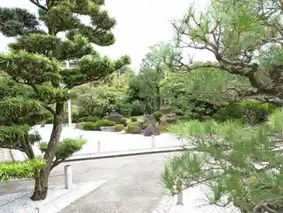 龍雲寺（桃山善光寺）(京都府)