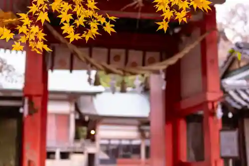 柞原八幡宮(大分県)