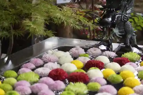 東海市熊野神社の手水舎