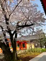 蓮華王院（三十三間堂）(京都府)