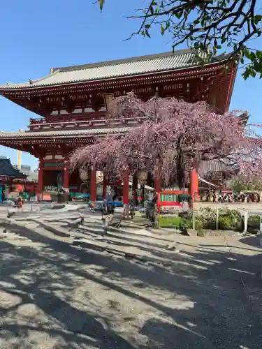 浅草寺の{uncategorized: "未分類", other: "その他", undefined: "問題あり", building: "その他建物", grave: "お墓", sacred_gate: "鳥居", guardian: "狛犬", statue: "像", buddha: "仏像", history: "歴史", nature: "自然", garden: "庭園", animal: "動物", pagoda: "塔", temizu: "手水舎", mountain_gate: "山門・神門", sanctuary: "本殿・本堂", subordinate: "末社・摂社", art: "芸術", scenery: "景色", jizo: "地蔵", ema: "絵馬", goshuin: "御朱印", omikuji: "おみくじ", items: "授与品その他", amulet: "お守り", goshuincho: "御朱印帳", eats: "食事", festival: "お祭り", votive_dance: "神楽", shichigosan: "七五三参", wedding: "結婚式", experience: "体験その他", initially: "初詣", around: "周辺", anti_infection: "感染症対策"}
