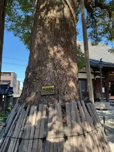 浄通院(愛知県)