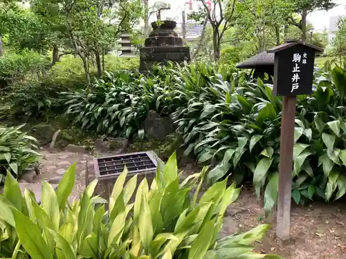 駒止稲荷神社(東京都)