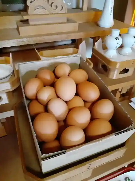 伏木香取神社(茨城県)
