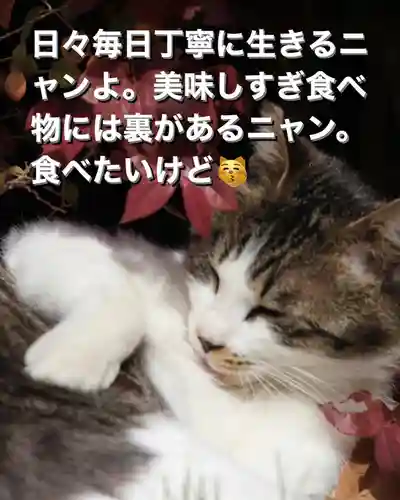 専念寺(大阪府)