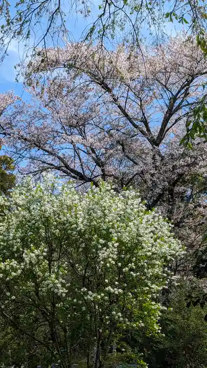 惠心院(京都府)