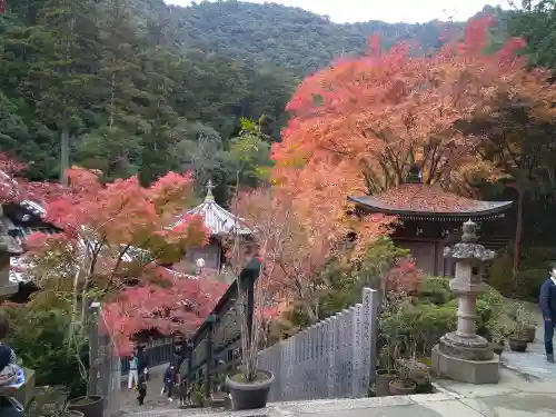 大聖院(広島県)