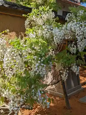 長慶院(京都府)