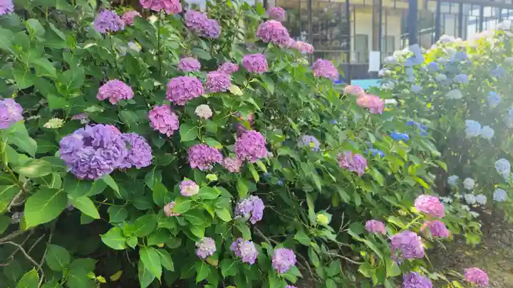 山神社(宮城県)