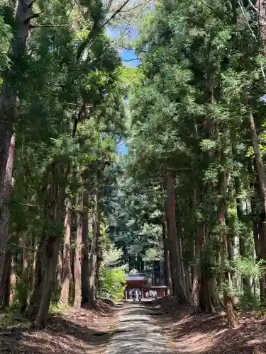 土津神社奥之院の{uncategorized: "未分類", other: "その他", undefined: "問題あり", building: "その他建物", grave: "お墓", sacred_gate: "鳥居", guardian: "狛犬", statue: "像", buddha: "仏像", history: "歴史", nature: "自然", garden: "庭園", animal: "動物", pagoda: "塔", temizu: "手水舎", mountain_gate: "山門・神門", sanctuary: "本殿・本堂", subordinate: "末社・摂社", art: "芸術", scenery: "景色", jizo: "地蔵", ema: "絵馬", goshuin: "御朱印", omikuji: "おみくじ", items: "授与品その他", amulet: "お守り", goshuincho: "御朱印帳", eats: "食事", festival: "お祭り", votive_dance: "神楽", shichigosan: "七五三参", wedding: "結婚式", experience: "体験その他", initially: "初詣", around: "周辺", anti_infection: "感染症対策"}