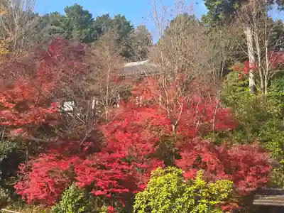 覚性律庵(滋賀県)