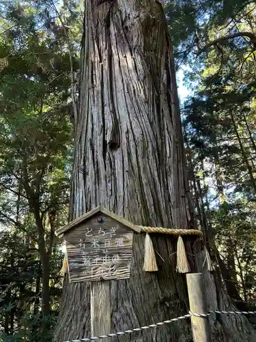 鷲子山上神社(栃木県)