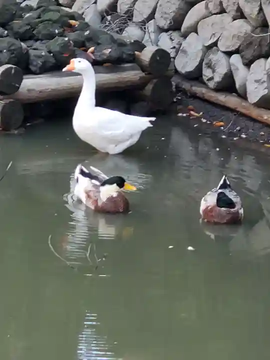生島足島神社(長野県)