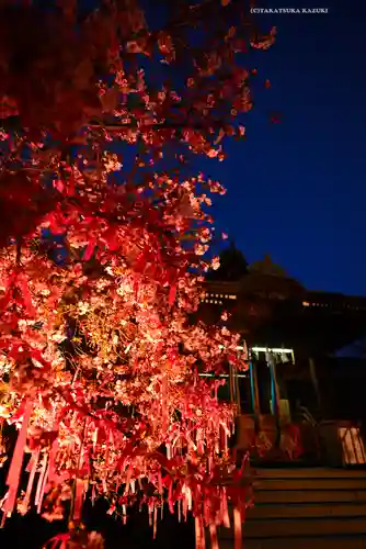 桜神宮(東京都)