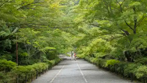 二尊院(京都府)