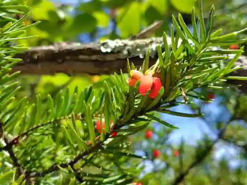 比布神社(北海道)
