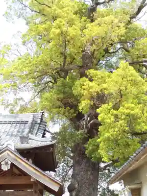 鶯関神社(大阪府)