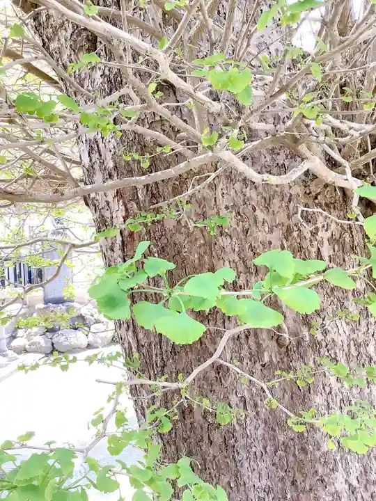 實相山 正法院(静岡県)