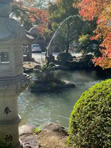 鳩ヶ嶺八幡宮の庭園