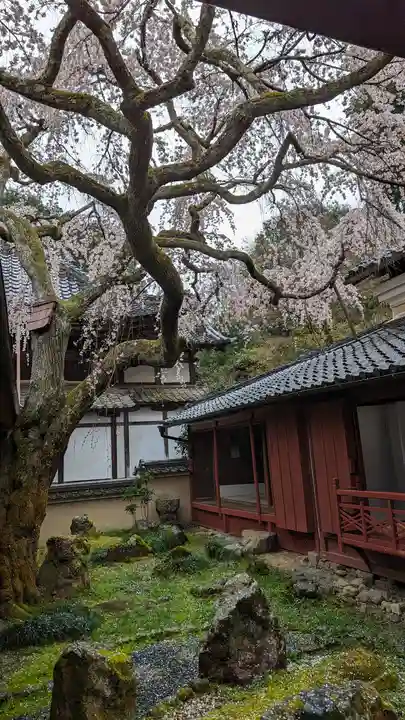 十輪寺(京都府)