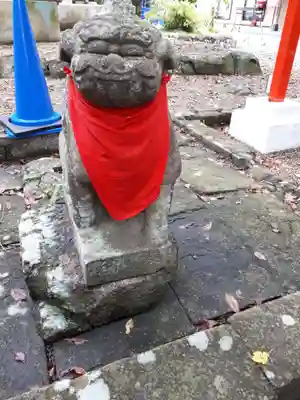 亀岡八幡宮の狛犬